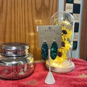 NWT Barse Genuine Jasper Green Fishhook Earrings #BJER